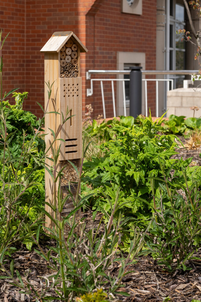 Belgrave Gardens - Bee Box